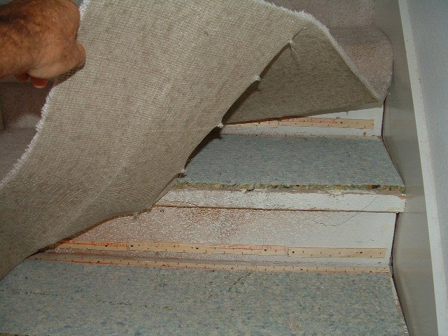 carpeting stairs