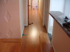 I installed Quick step Eligna, Canyon oak, 8mm in the living room all the way down the hall 