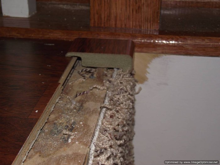 Installing Laminate On Top Stair To Carpet, Installing Laminate Wood Flooring On Stairs With Carpet