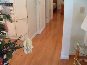 Vanier laminate flooring installed in hallway photo