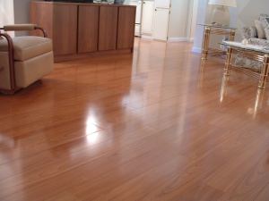 Vanier laminate flooring installed in living room photo
