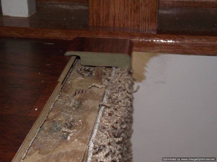 The laminate is installed on the upstairs hallway and the carpet is installed on the stairs